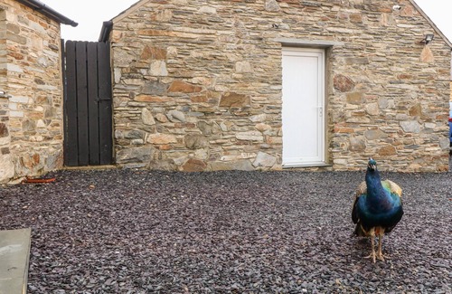Porthmadog Cottage | Garth Morthin The Stables