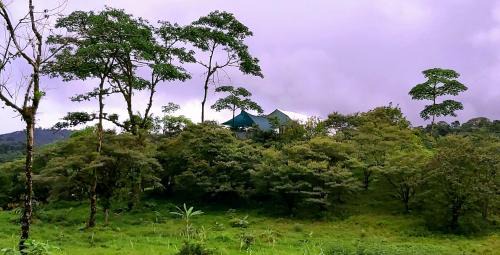 Katira Other | Garza del Sol Glamping Buganvilia