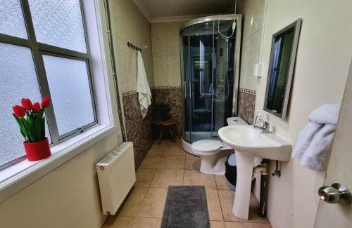 Punta Arenas House | Gauchito Patagón
