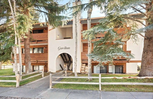 Aspen Condo | Gavilon Aspen Studio
