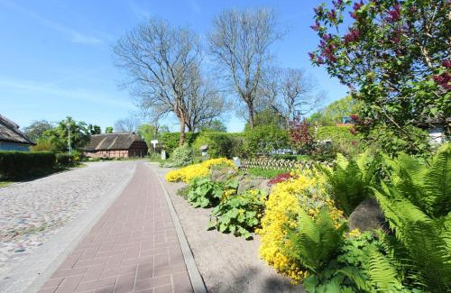 Gross Zicker Apartment | gemütliche Ferienwohnung mit Terrasse und Garten - Ferienhaus Zaunkönig FeWo EG
