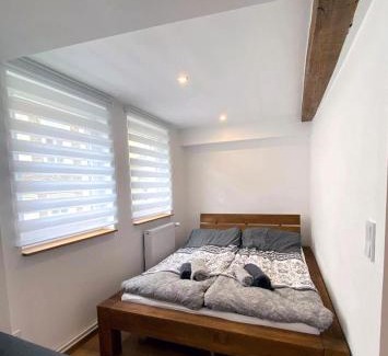 Zeltingen-Rachtig Apartment | Gemütliches Studio Rosenburgblick in Moselnähe