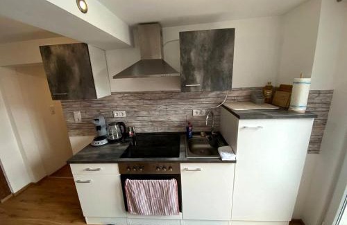 Zeltingen-Rachtig Apartment | Gemütliches Studio Rosenburgblick in Moselnähe