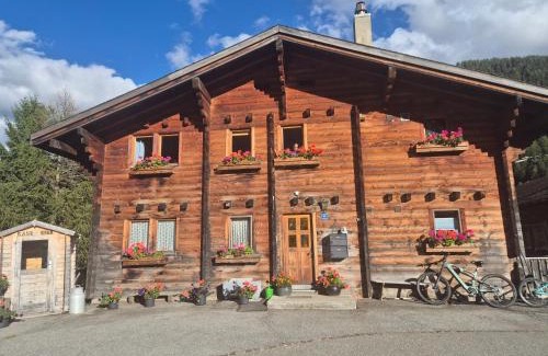 Blitzingen Apartment | Gemütliches Walliser Chalet Nahe Aletschgebiet