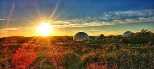 Llanybri House | Geodome Glamping with sea views near Pendine