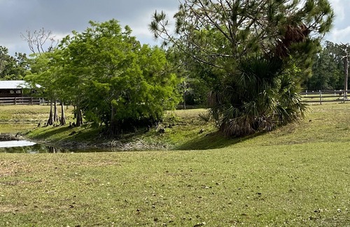 Englewood Resort | Get away to the Country on a lake enjoying the wild life and horses.