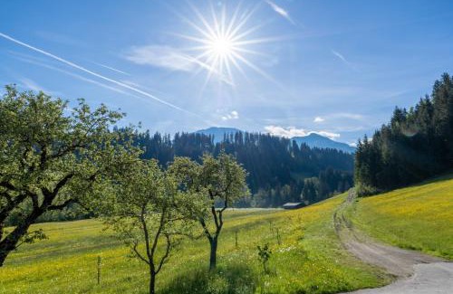 Westendorf House | Getznerhof