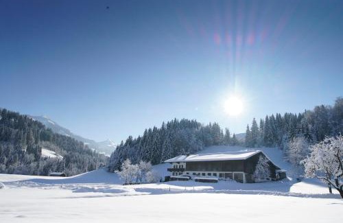 Westendorf House | Getznerhof