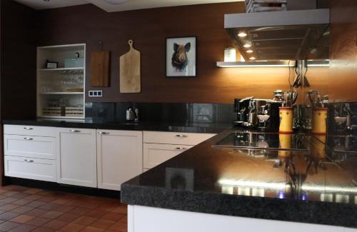 Den Ham Villa | Gezellige Ruime Villa incl Hottub Sauna en Gamesroom