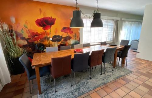 Den Ham Villa | Gezellige Ruime Villa incl Hottub Sauna en Gamesroom