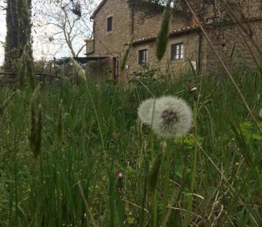 Seggiano Apartment | Giardino di Potentino