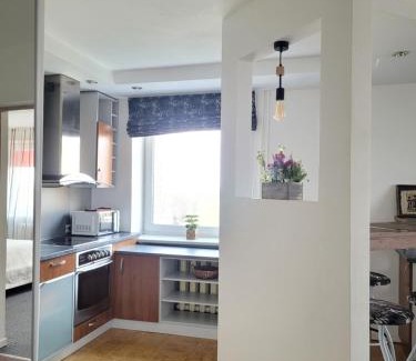 Kaunas Apartment | Giedres Taikos Apartments