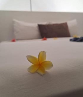 Gili Trawangan Hotel | Gili Hills