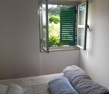 Carvoeira House | Ginjals-67