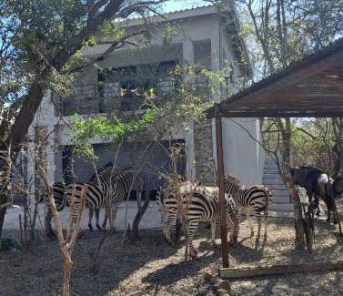 Marloth Park Apartment | Giraffe Studio @ Kruger