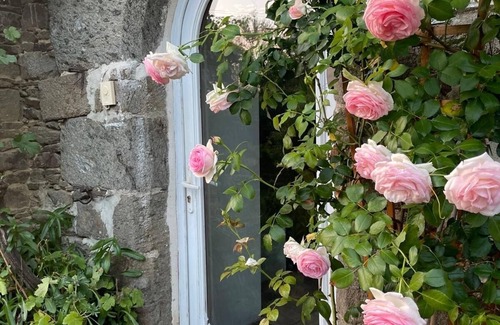 Pleudihen-sur-Rance Cottage | Gite Breton house close to the Rance and the sea Saint-Malo Dinard Cancale