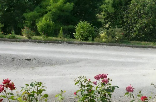 Saint-Sulpice-de-Roumagnac House | Gîte 'Le Pigeonnier' with shared pool, private terrace and Wi-Fi