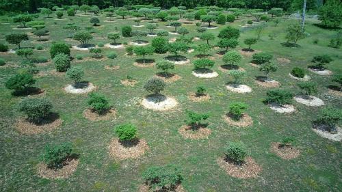 Cubjac-Auvezere-Val d'Ans House | Gite Truffière de La Garrigue, Cubjac, Dordogne