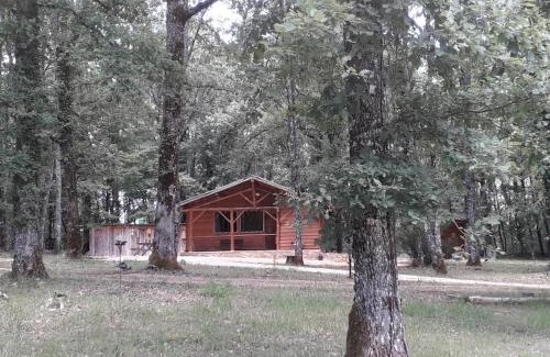 Cubjac-Auvezere-Val d'Ans House | Gite Truffière de La Garrigue, Cubjac, Dordogne
