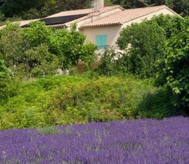 Les Granges-Gontardes House | Gite Villa des Sources