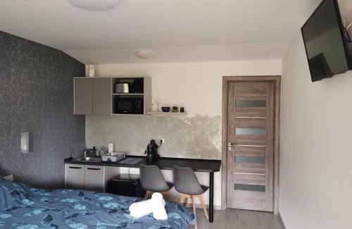 Sovata Apartment | Giulia Guest House