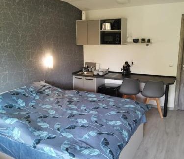 Sovata Apartment | Giulia Guest House