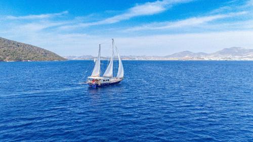 Bodrum City Center Boat Rental | Giulietta