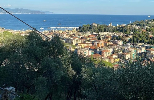 San Lorenzo della Costa Other | “Giulli” Typical Ligurian rustic immersed in the olive grove