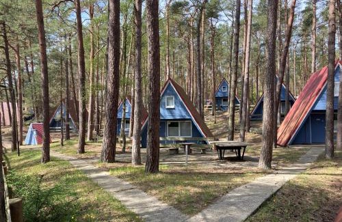 Trassenheide House | Glücklich am Strand - Ruhe im Kiefernwald mit Terrasse & Hundeherz willkommen