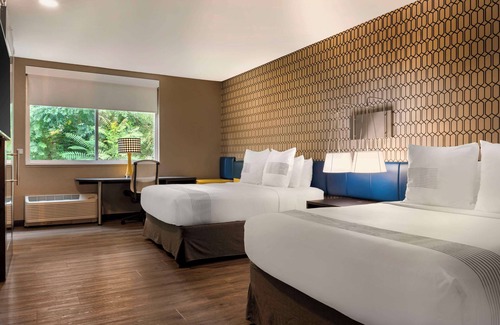 Asheville Hotel | GLō Hotel Asheville-Blue Ridge Parkway