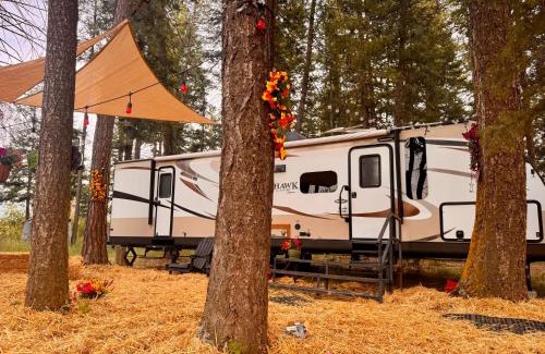 Columbia Falls House | Glacier Park Hideaway