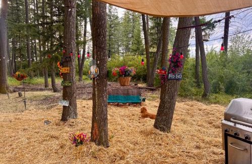 Columbia Falls House | Glacier Park Hideaway