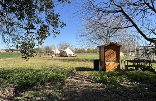 St Albans Other | Glamping and Camping at The Orchard
