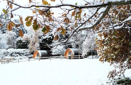 Royal Tunbridge Wells Other | Glamping at Honnington Farm