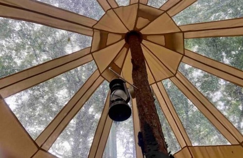 Elberton RV Rental | Glamping Bell Tent in a forest escape right next to the lake!