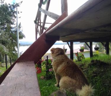 Guatavita Other | Glamping Chinu