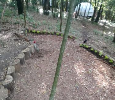 Valle de Bravo Resort | Glamping Don Delfis