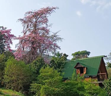 Curiti Other | Glamping el nido