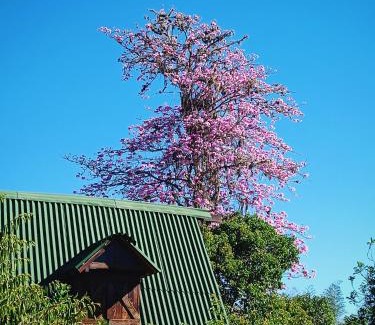 Curiti Other | Glamping el nido