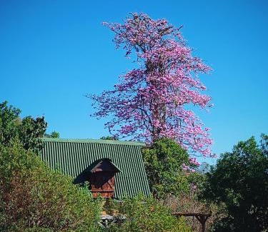 Curiti Other | Glamping el nido