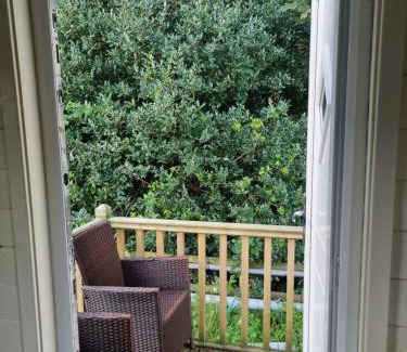 Llanfair Caereinion Ski Chalet | Glamping Hut - Riverview 4