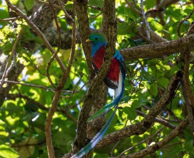 Rivas Other | Glamping Jaulares Mountain
