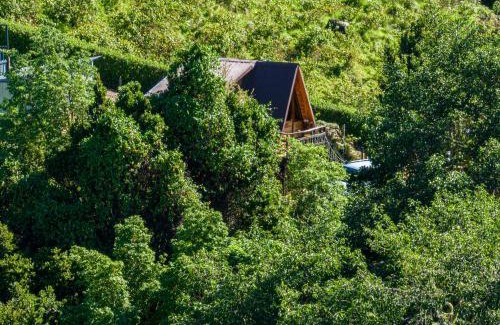 Rivas Other | Glamping Jaulares Mountain