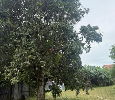 Escazu Other | Glamping Lily