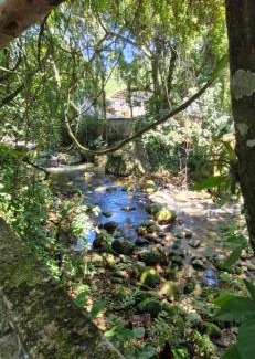Cachoeiras de Macacu Other | Glamping Macacu