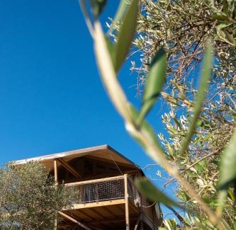 Massa Marittima Other | Glamping Podere San Jacopo