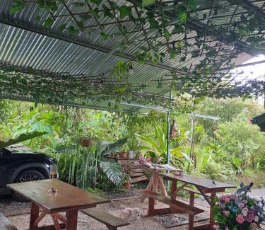 Katira Other | Glamping Rio Celeste Heliconia