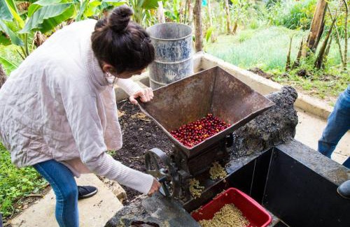 Copacabana Other | Glamping Spa & Coffee Tour