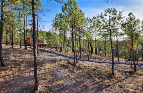 Durango Other | Glamping Town