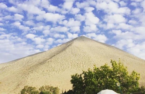 Vicuna Other | Glamping Viñas de Elqui